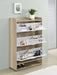 Denia Shoe Cabinet - Levi's Discount Furniture (Vineland, NJ)